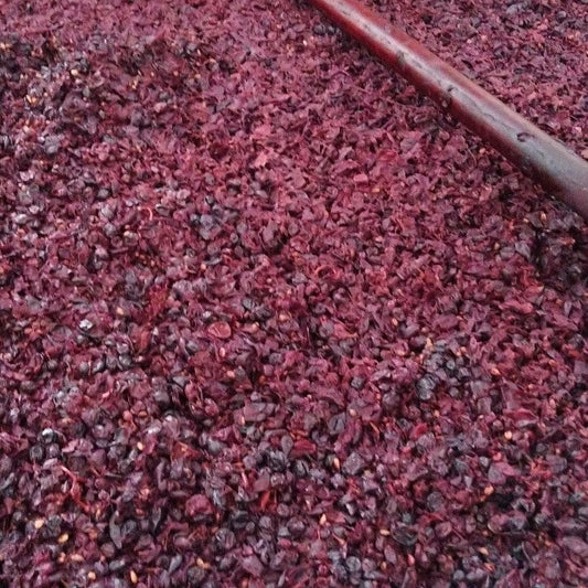 Fermentazione alcolica: il cuore invisibile che trasforma il mosto in vino