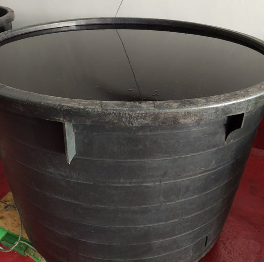 Fermentazione malolattica, il segreto dietro i vini più armonici e longevi