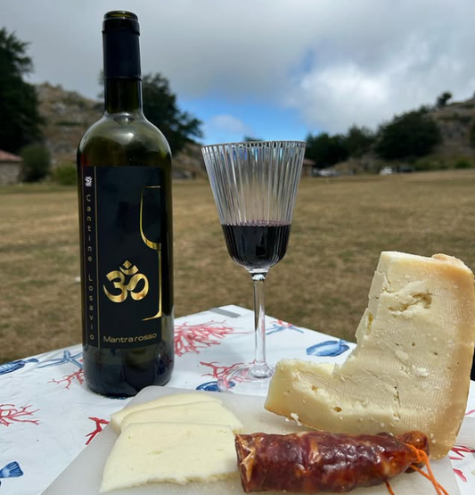 abbinamento cibo vino lambrusco primitivo formaggi e salumi